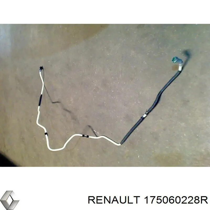 175060228R Renault (RVI) 