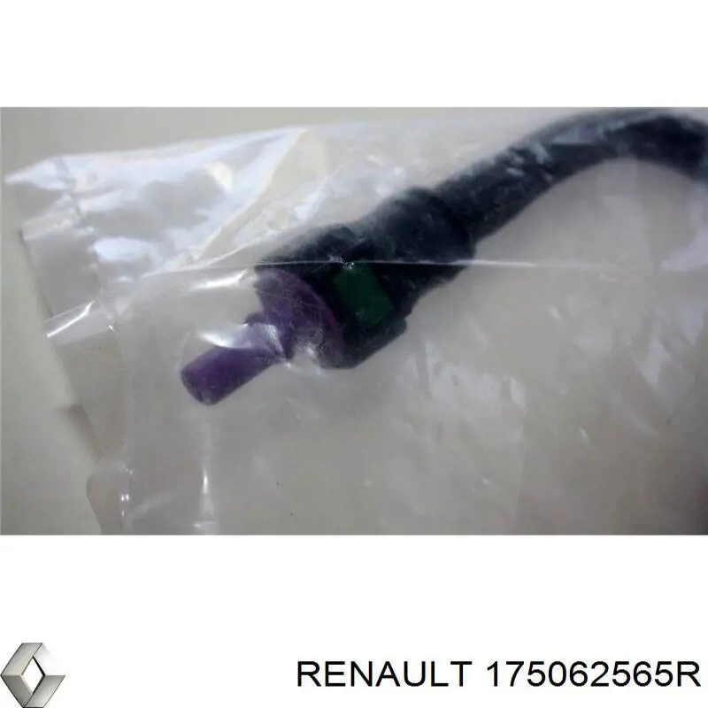  Renault (RVI) 175062565R цена, от 77.50 USD
