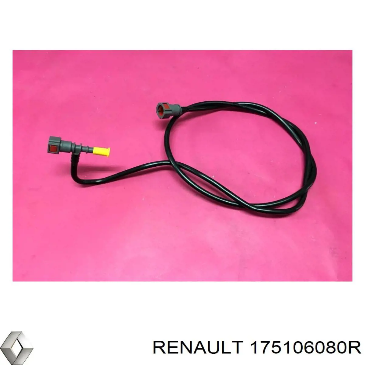  175106080R Renault (RVI)