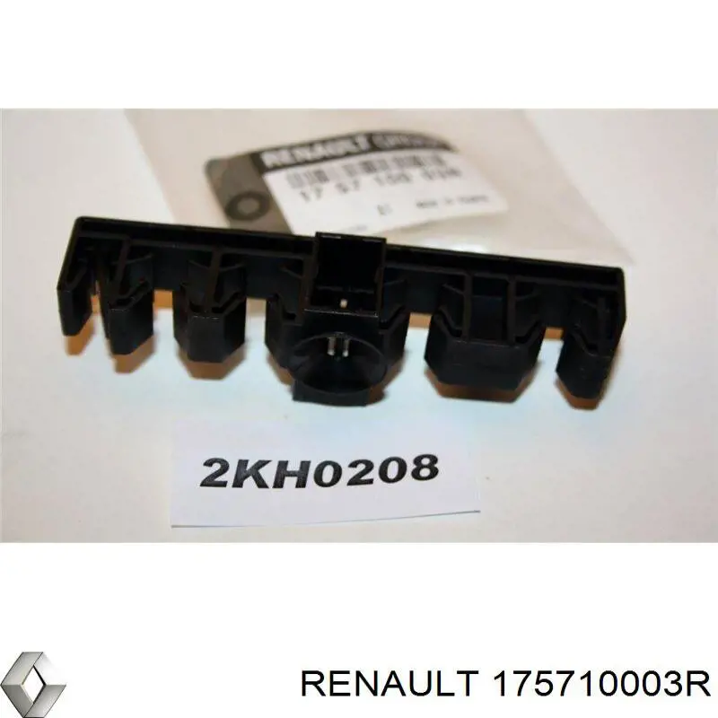 175710003R Renault (RVI) 