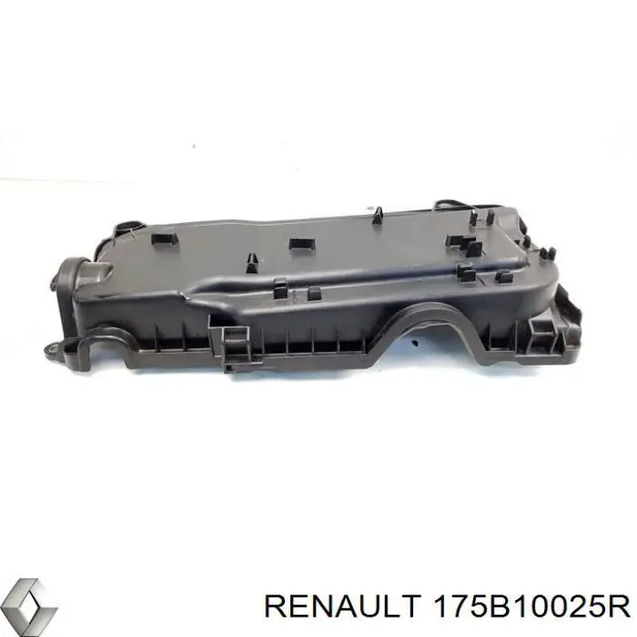 175B10025R Renault (RVI) 