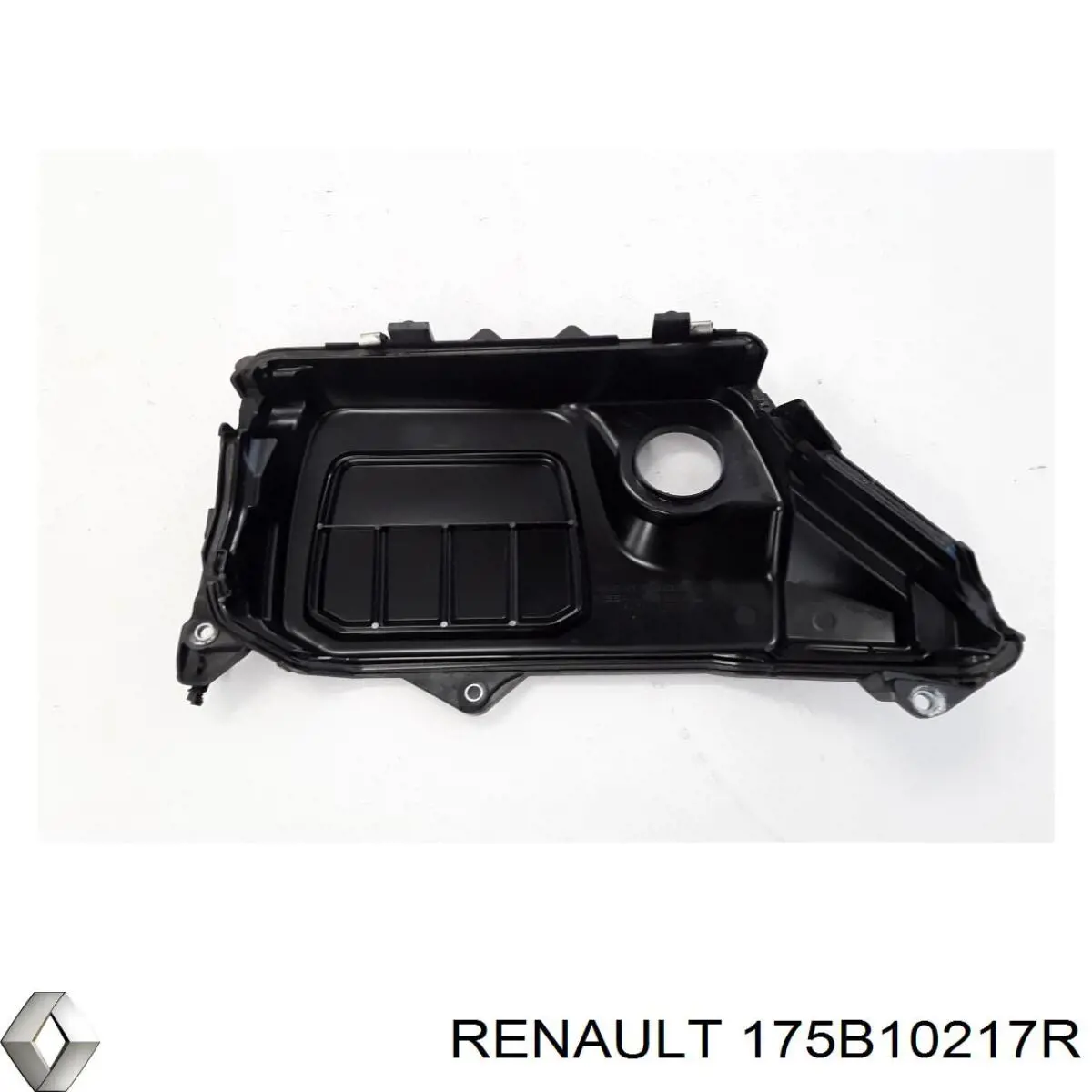 175B10217R Renault (RVI) 