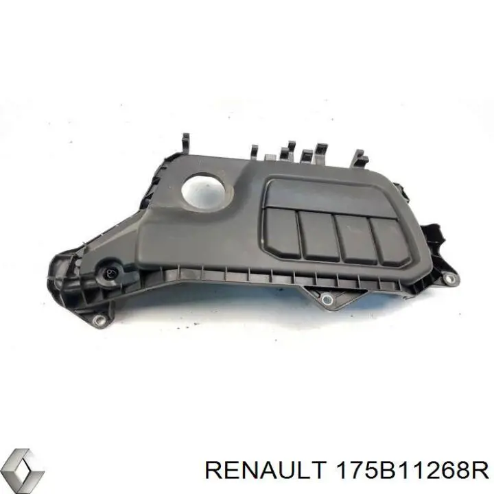  175B11268R Renault (RVI)