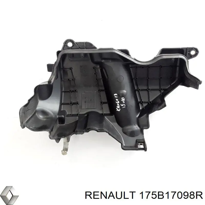  175B17098R Renault (RVI)