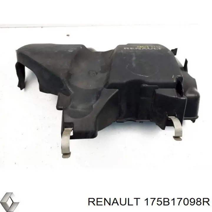  175B17098R Renault (RVI)