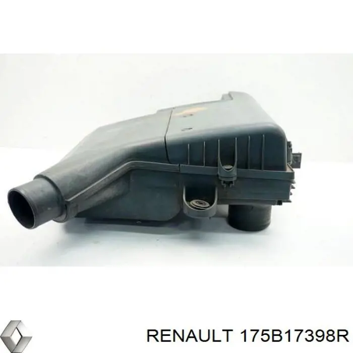  175B17398R Renault (RVI)