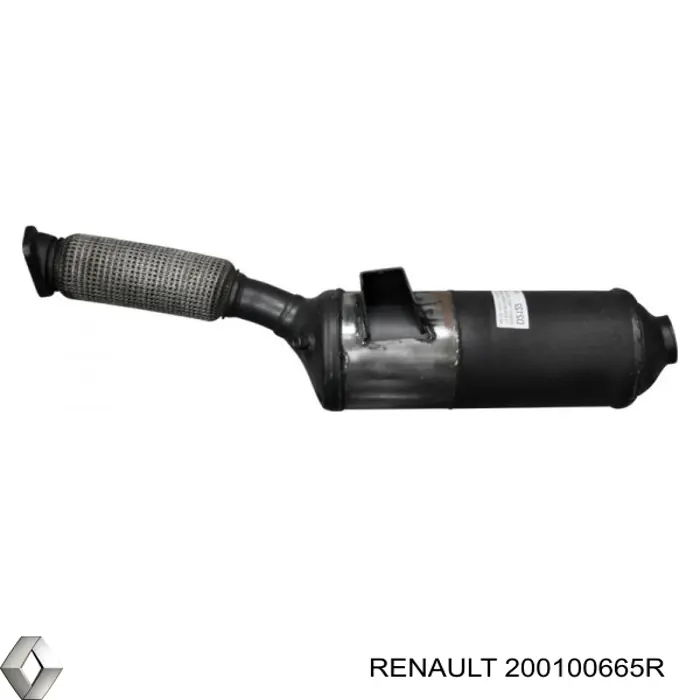 200100665R Renault (RVI) 