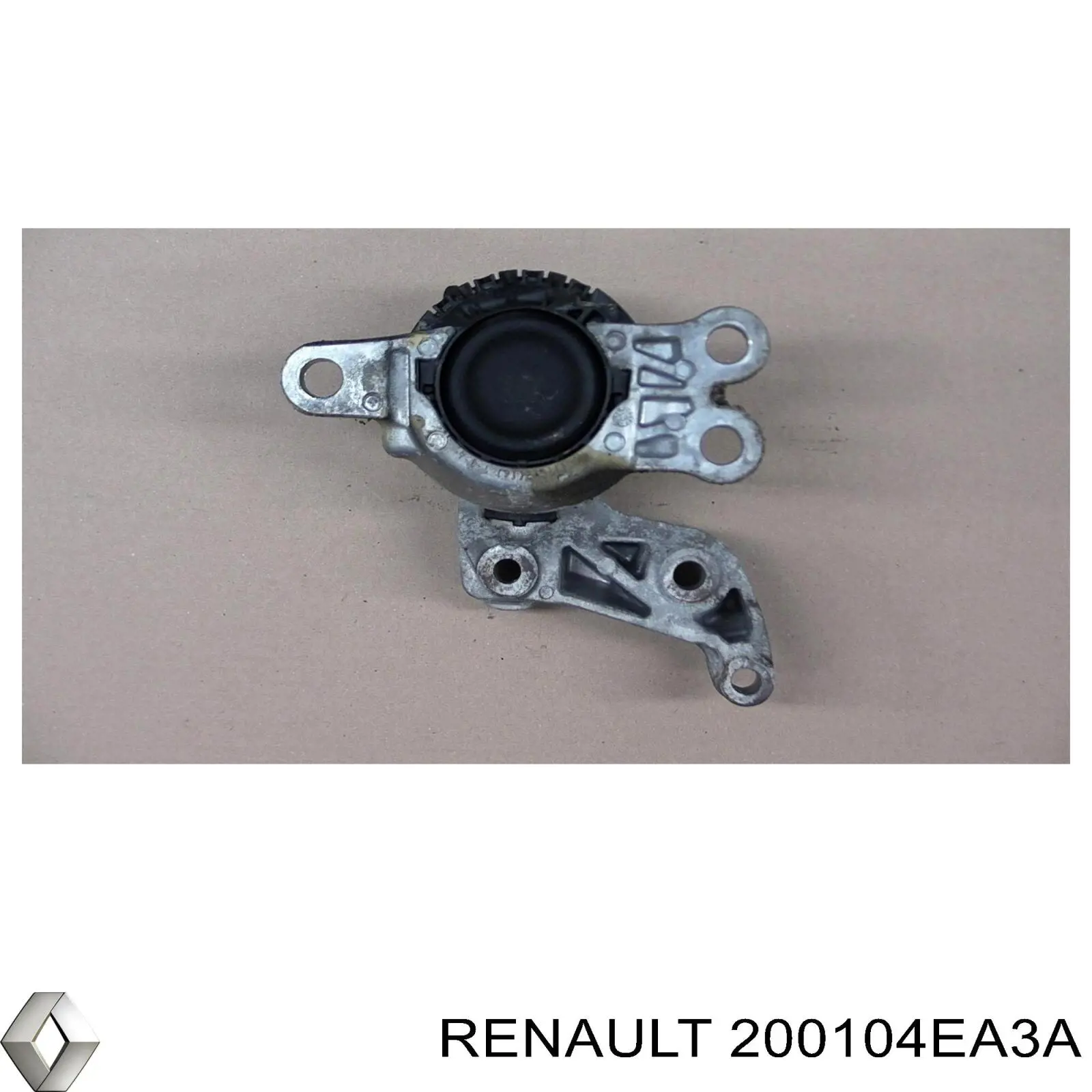 Передняя часть глушителя 200104EA3A Renault (RVI)