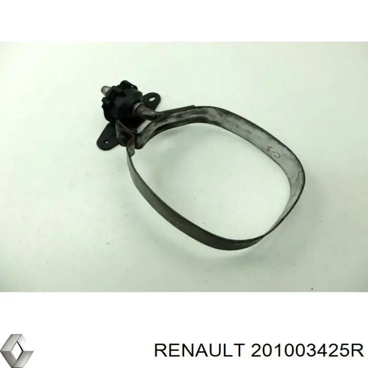 Купить 201003425R Renault (RVI) 