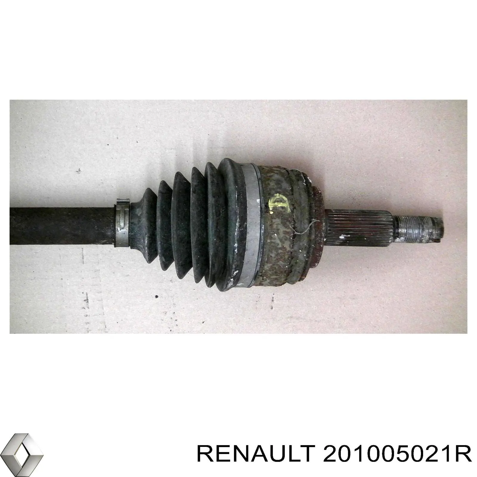 Купить 201005021R Renault (RVI) 