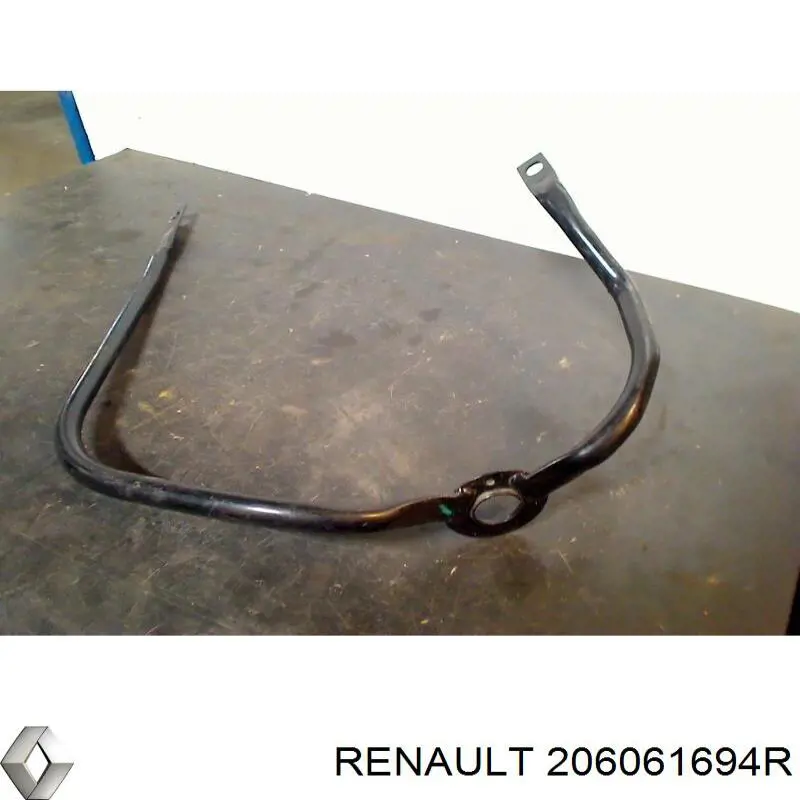 206061694R Renault (RVI)