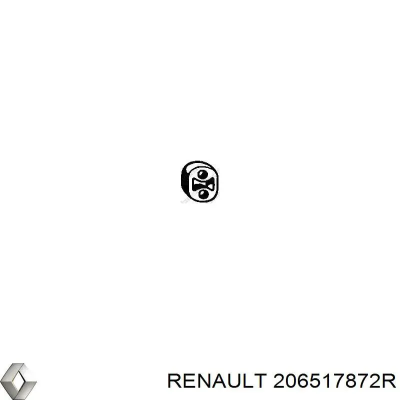 206517872R Renault (RVI)