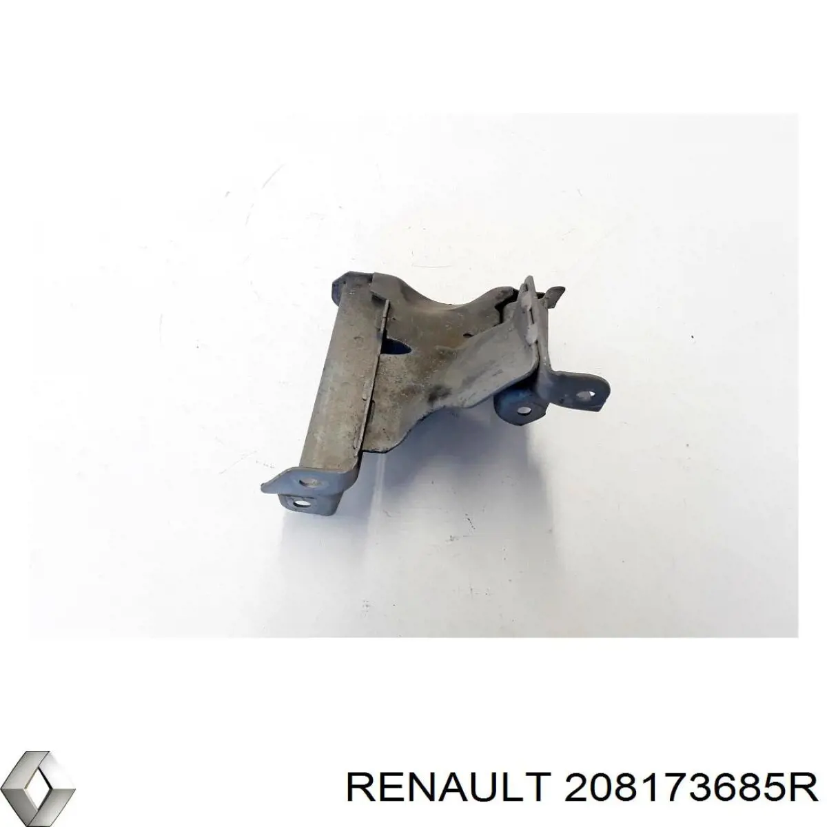  208173685R Renault (RVI)
