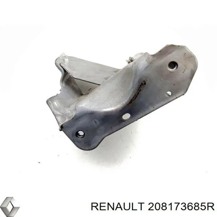  208173685R Renault (RVI)