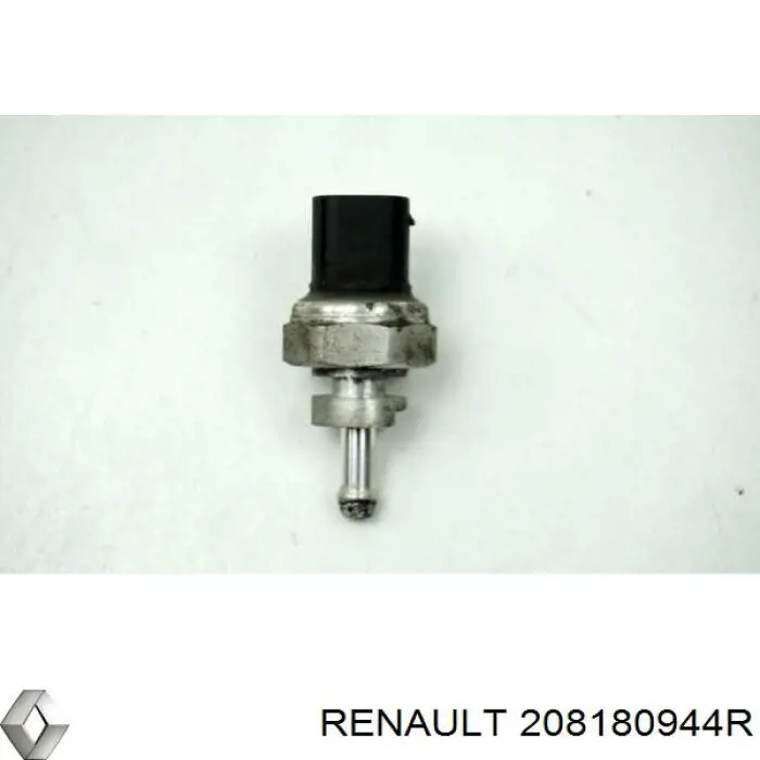 208180944R Renault (RVI) 