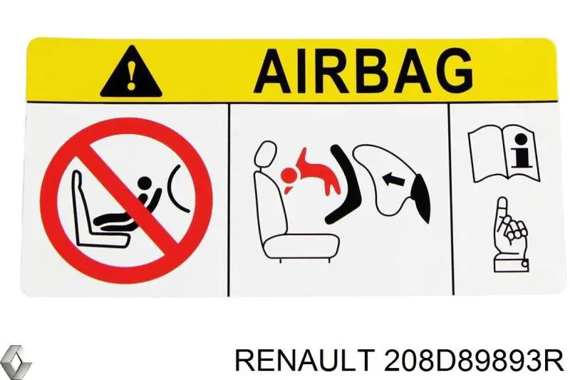 208D89893R Renault (RVI) 