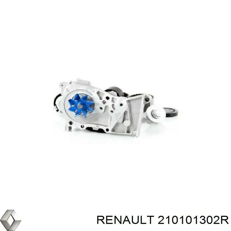 Помпа 210101302R Renault (RVI)