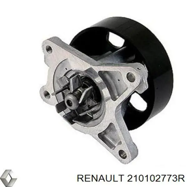 210102773R Renault (RVI) помпа