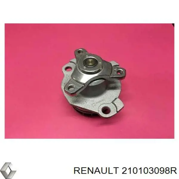 Помпа водяна, (насос) охолодження 210103098R Renault (RVI)