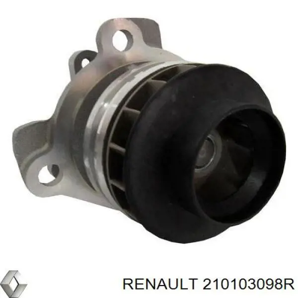 Помпа 210103098R Renault (RVI)