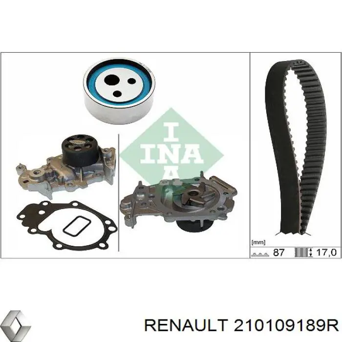 Купить 210109189R Renault (RVI) Насос охлаждения