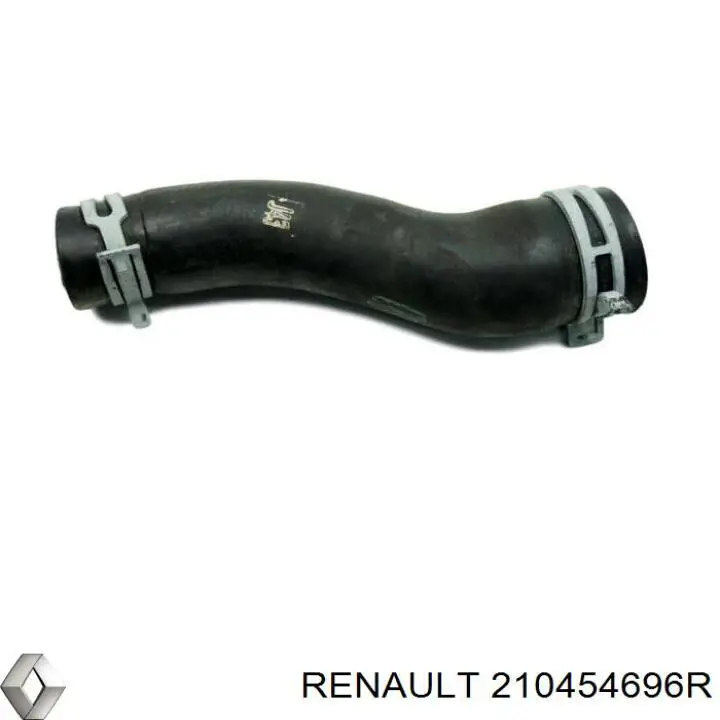  210454696R Renault (RVI)