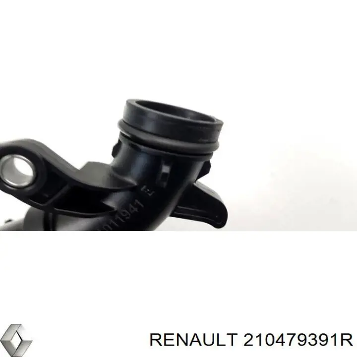 210479391R Renault (RVI) 