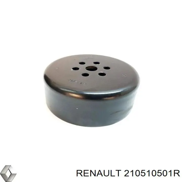 210510501R Renault (RVI) 