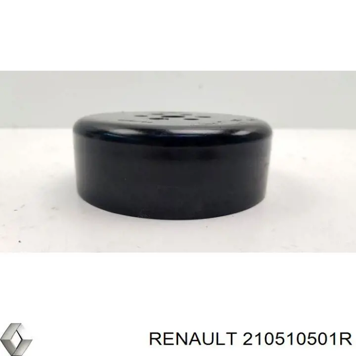 Купить 210510501R Renault (RVI) Шкив помпы
