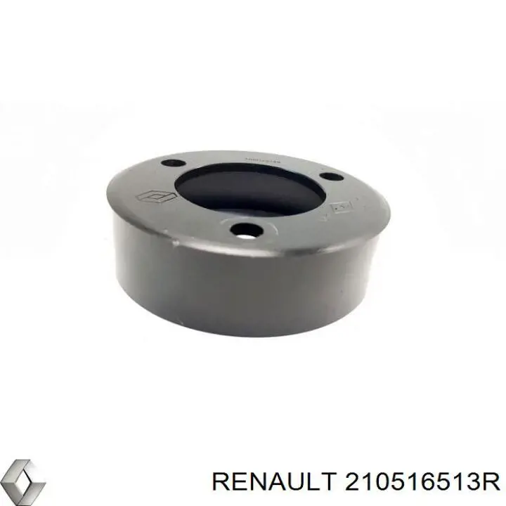 Renault (RVI) 210516513R цена, от 37.33 USD
