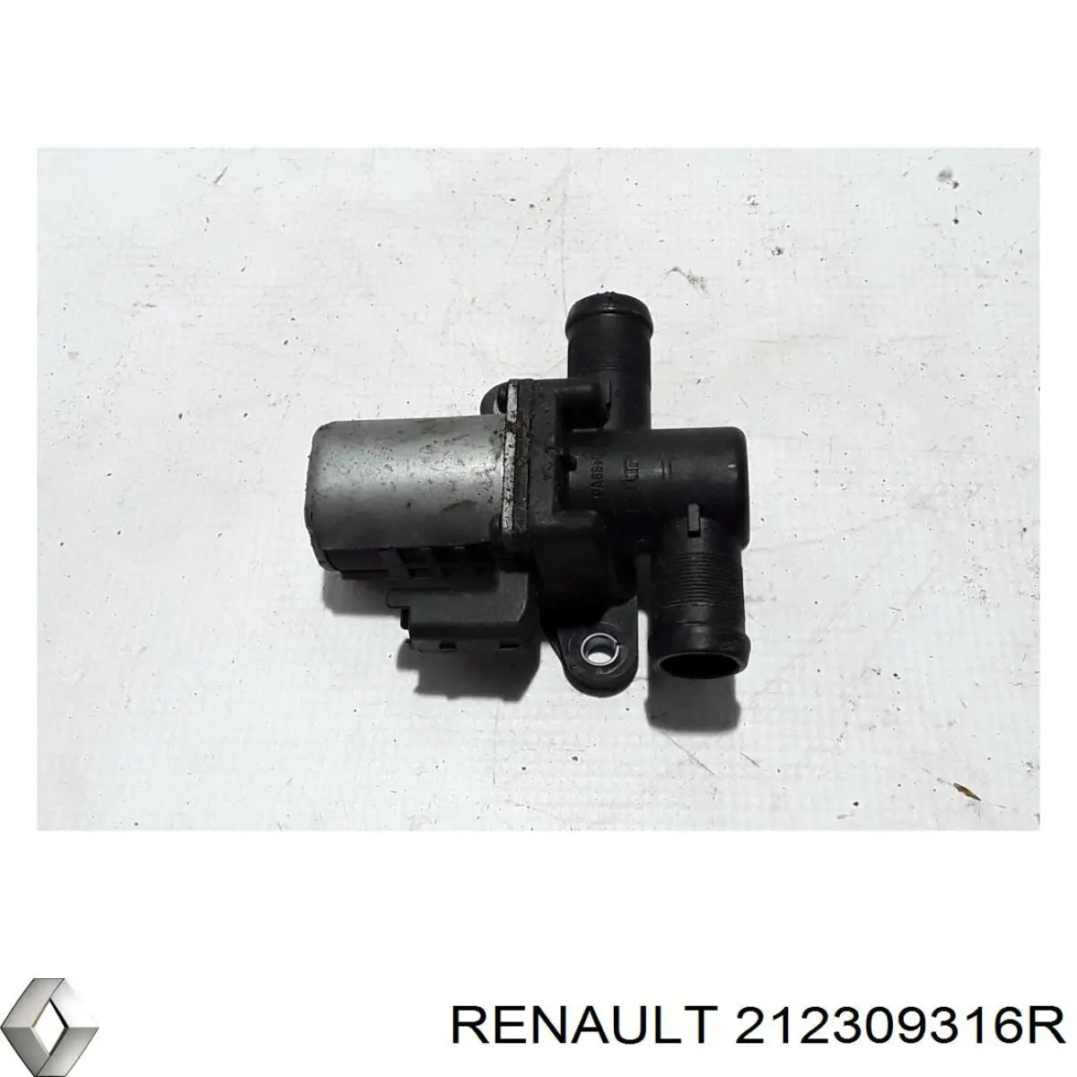 212309316R Renault (RVI) 