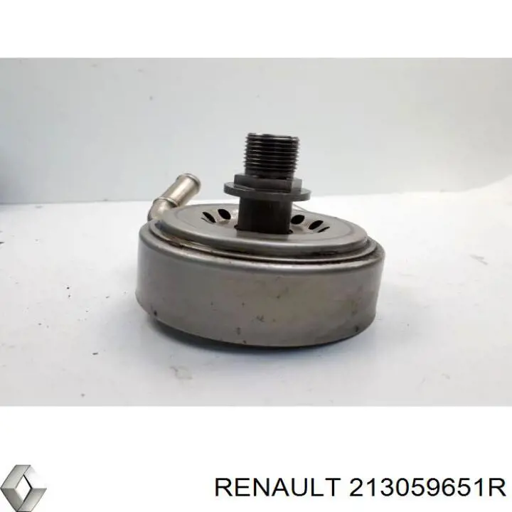  213059651R Renault (RVI)