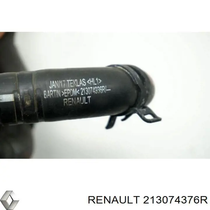  213074376R Renault (RVI)