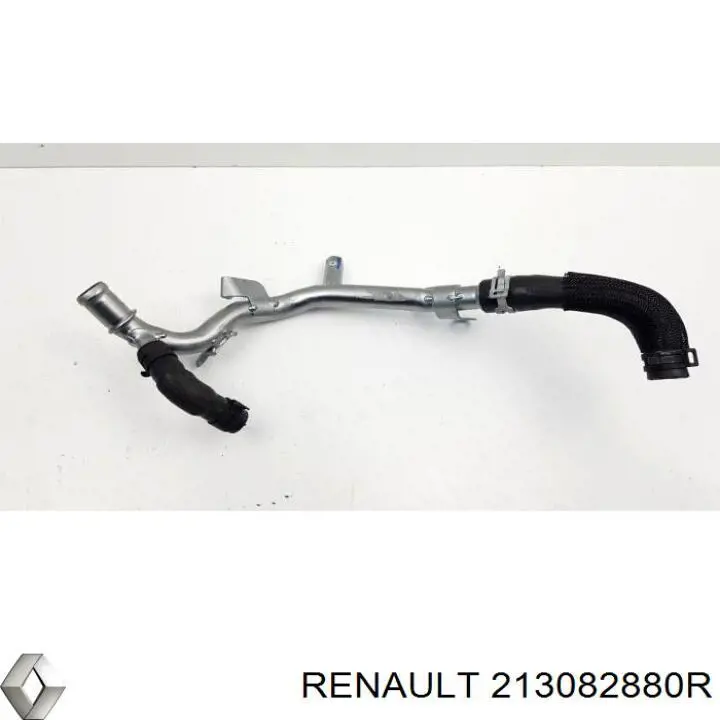  213082880R Renault (RVI)