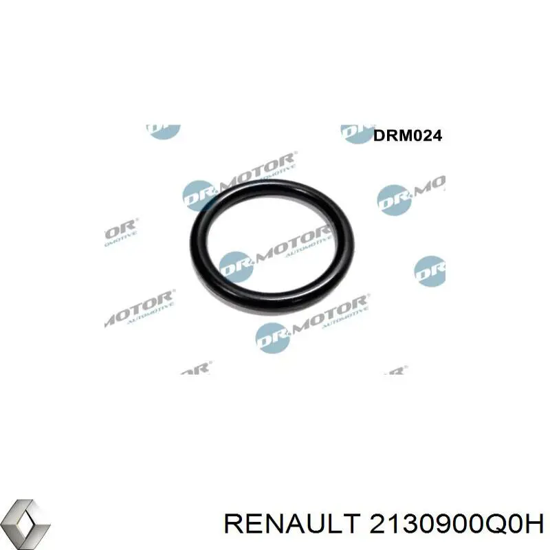 Шланг (патрубок) водяного насоса приемный 2130900Q0H Renault (RVI)