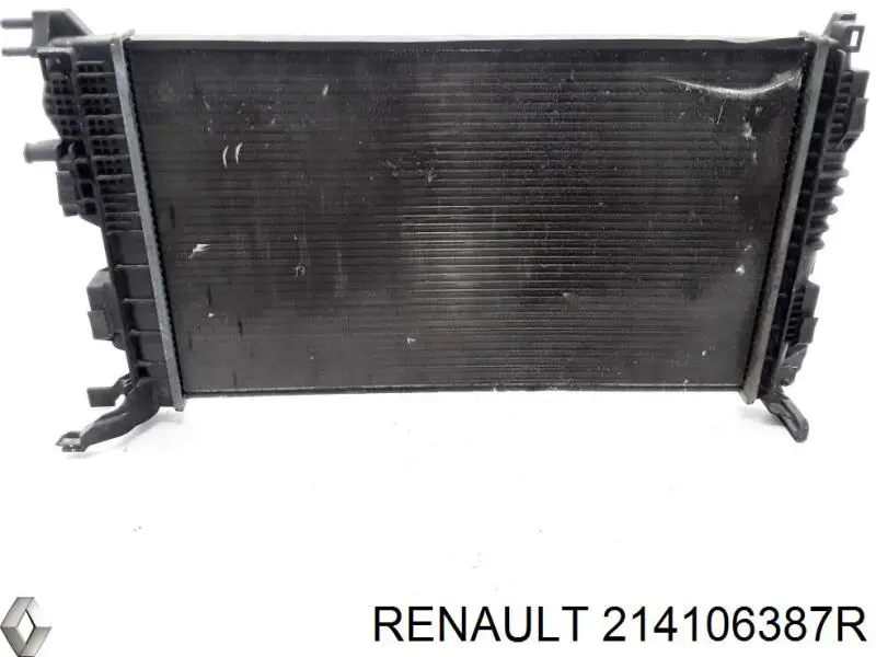 214106387R Renault (RVI)