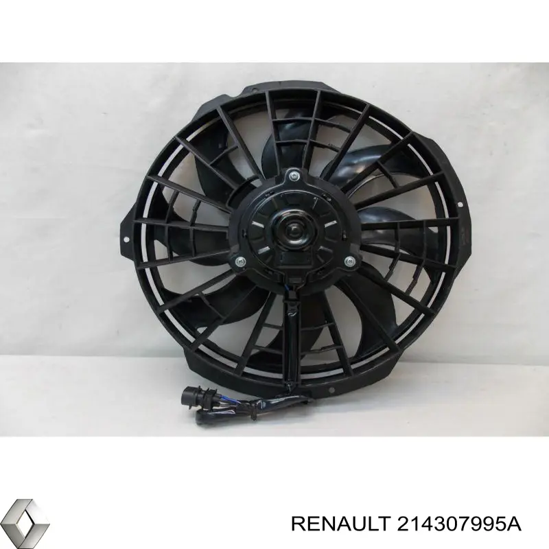  214307995A Renault (RVI)