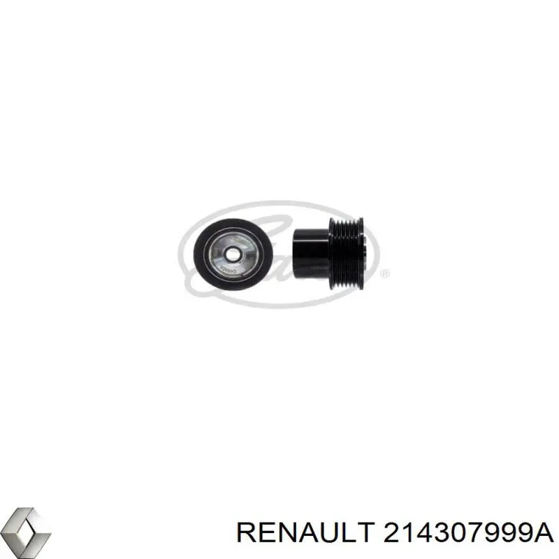  214307999A Renault (RVI)