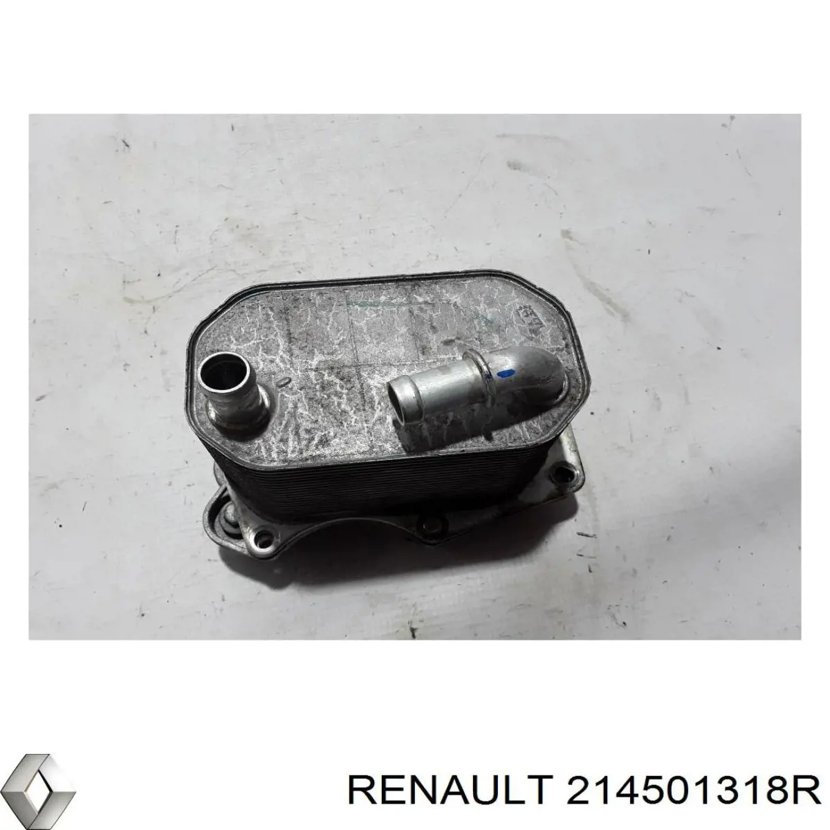 214501318R Renault (RVI) 