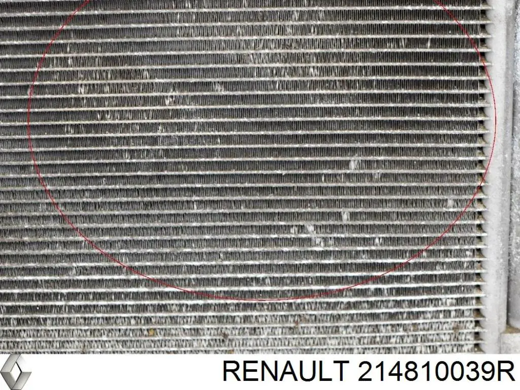  Ventilador elétrico de esfriamento montado (motor + roda de aletas) Renault Laguna III hatchback (BT0, BT1) (2007 - 2015) III