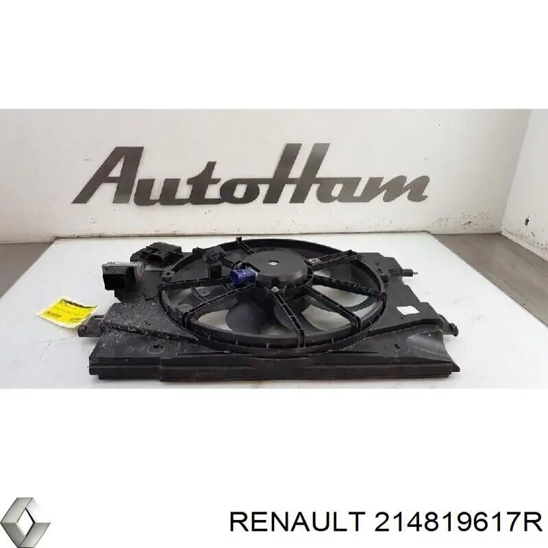  214819617R Renault (RVI)