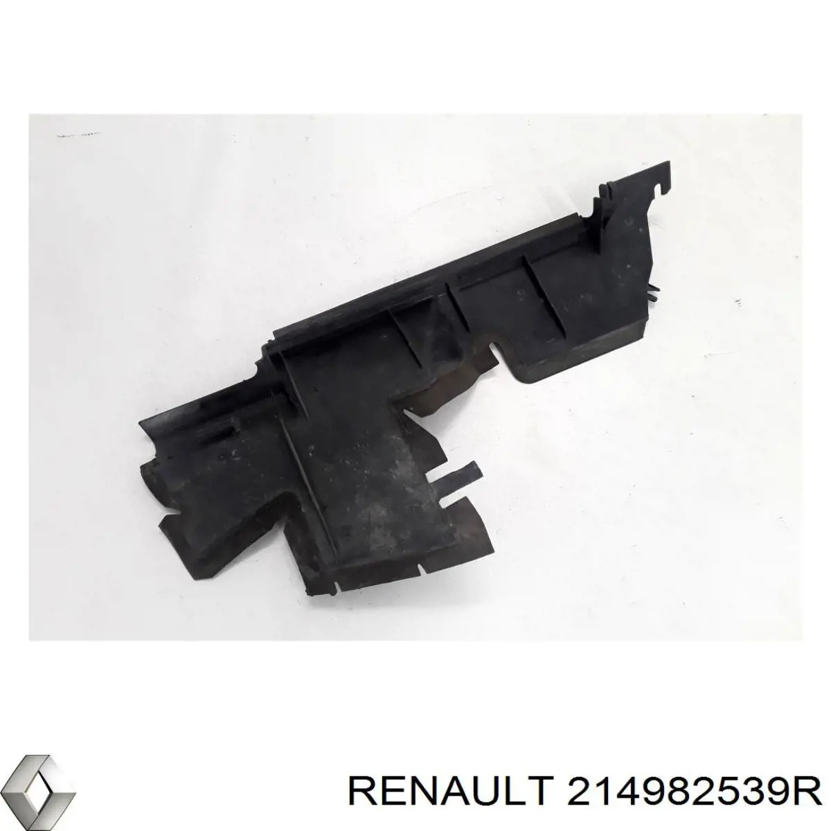  214982539R Renault (RVI)