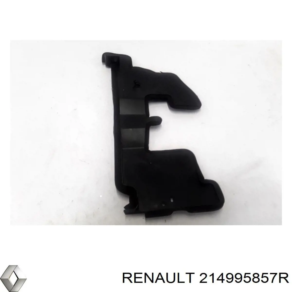  214995857R Renault (RVI)