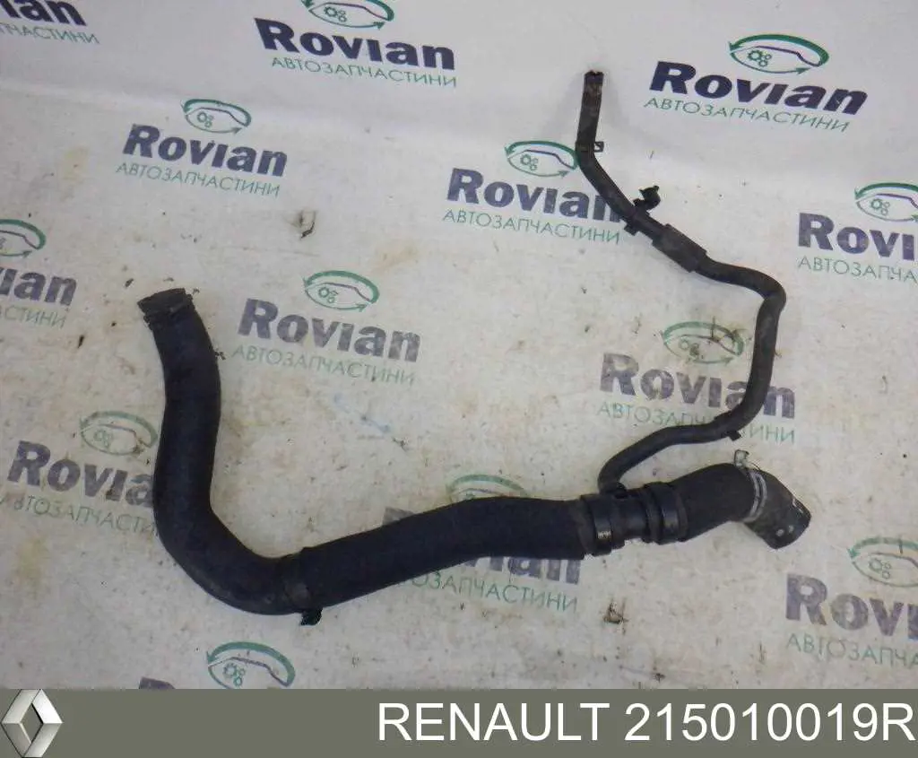  215010019R Renault (RVI)