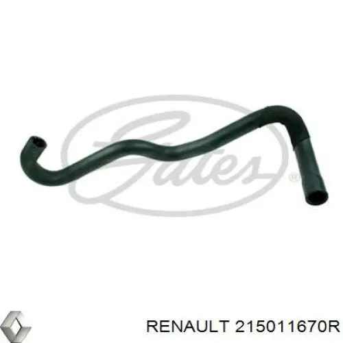 215011670R Renault (RVI) mangueira (cano derivado do radiador de esfriamento superior)