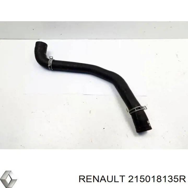 215018135R Renault (RVI) 