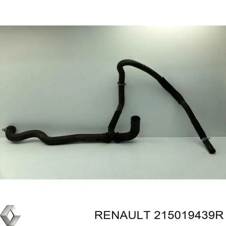  215039119R Renault (RVI)