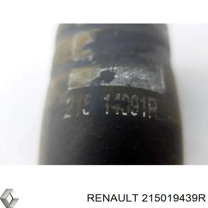 Шланг радиатора, нижний Renault (RVI) 215019439R цена, от 46.48 USD