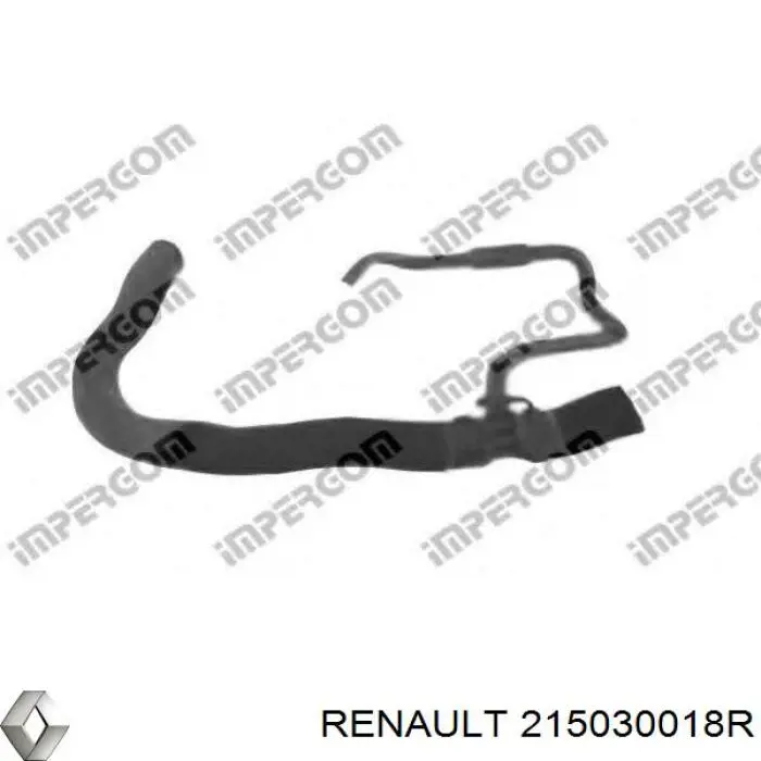  215030018R Renault (RVI)