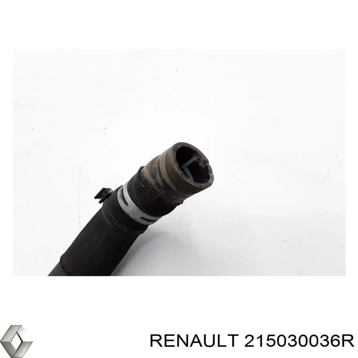  215030036R Renault (RVI)